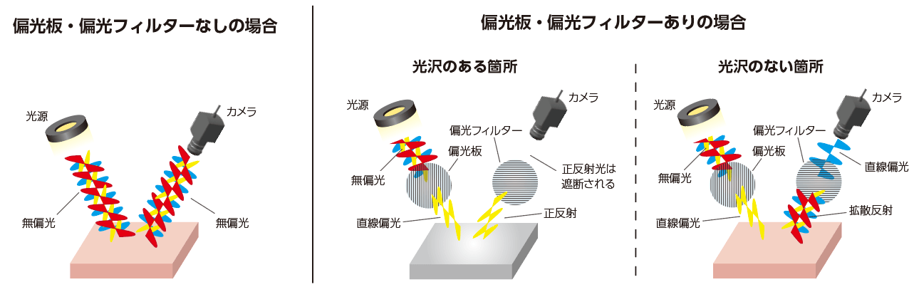 偏光板・偏光フィルター