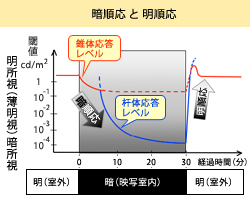 明 販売 視 照明 と は